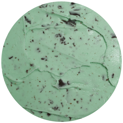 Icecream Therapy mint chocolate chip flavour