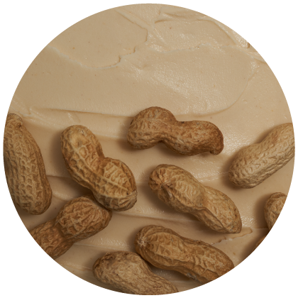 Chill Gelato salted peanut butter flavour